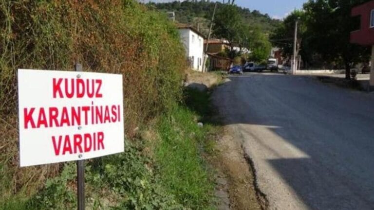 Van’da Kuduz Tehlikesi: Mahalle Karantinaya Alındı