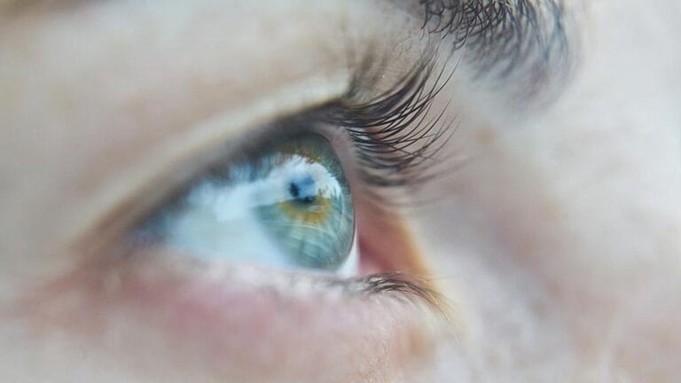 Experts Warn: Toxoplasma Gondii Parasite Can Cause Vision Loss