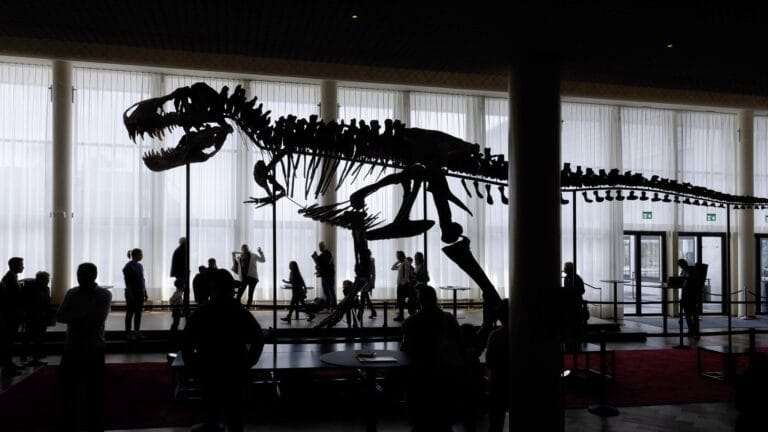 Antarktika’da 40 Yıl Unutulan Fosil, İlk Dinozor Kemiği Oldu
