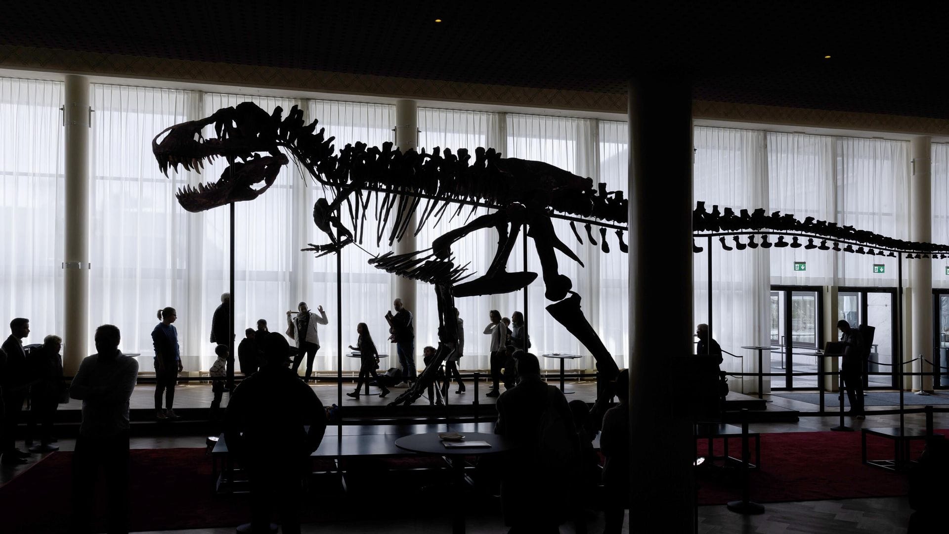 40-Year-Old Fossil Identified as Antarctica's First Dinosaur Bone
