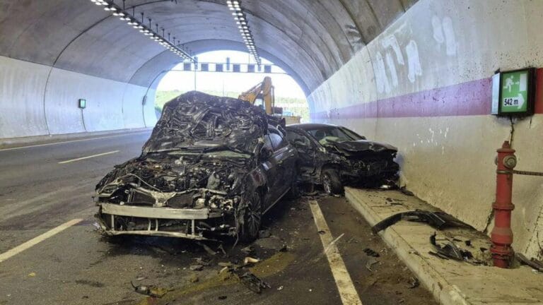 Şile’de Tünel Kazasında 10 İnek Hayatını Kaybetti