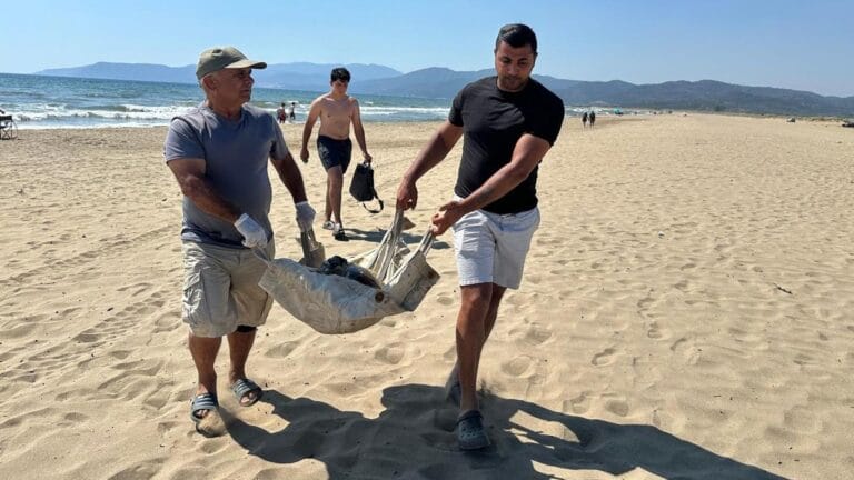 Parke Taşı ile İşkenceye Uğrayan Deniz Kaplumbağası Ölü Bulundu