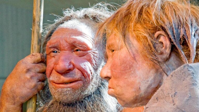 Neandertallerin Kaybında İnsanların Rolü
