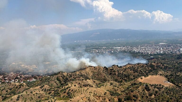 Aydın’da Zeytinlik Alanda Büyük Yangın: 4 Helikopter ve 15 Arazöz Müdahalede