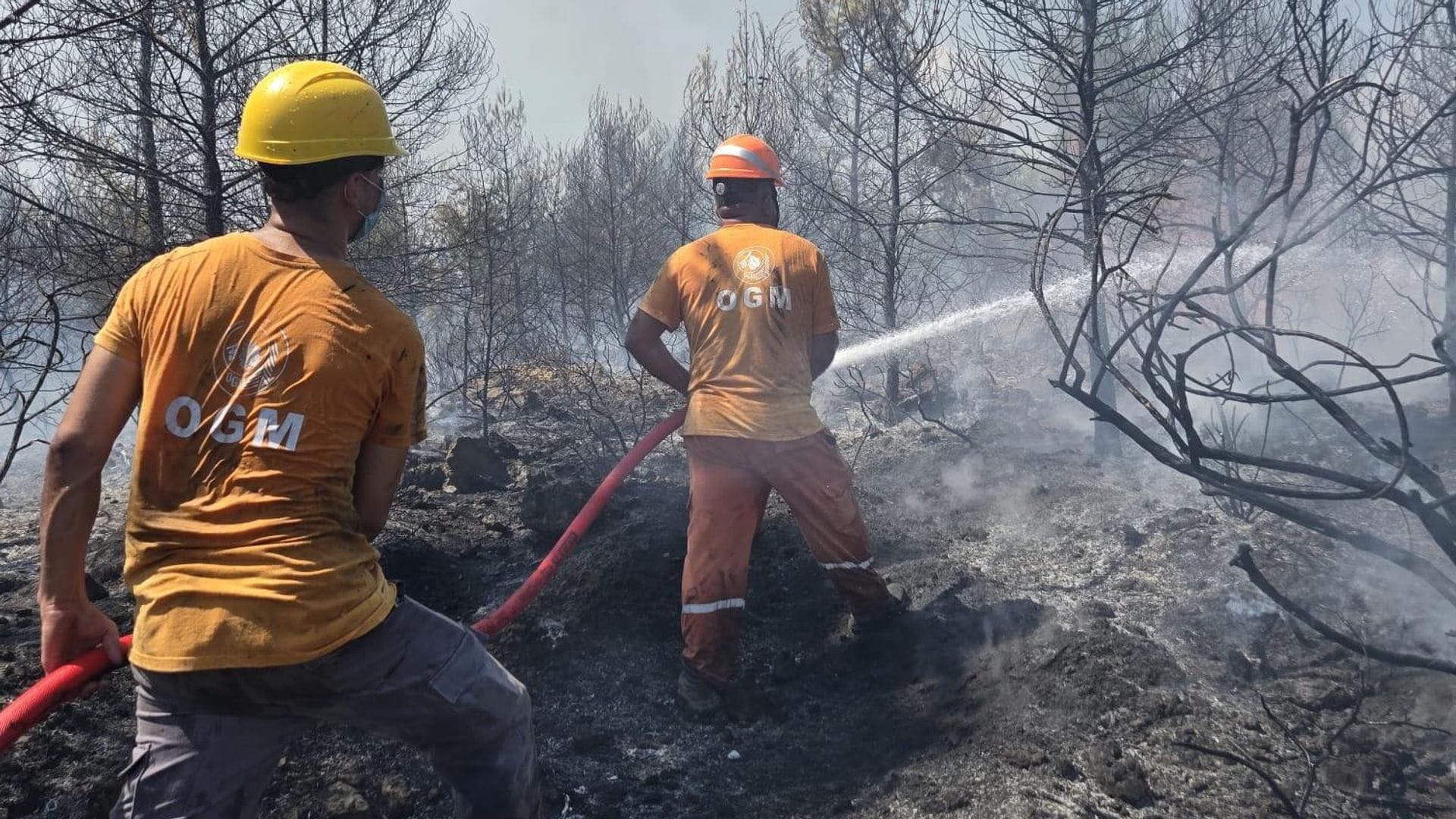 Forest Fires in Antalya and Balıkesir: Teams Battle the Flames