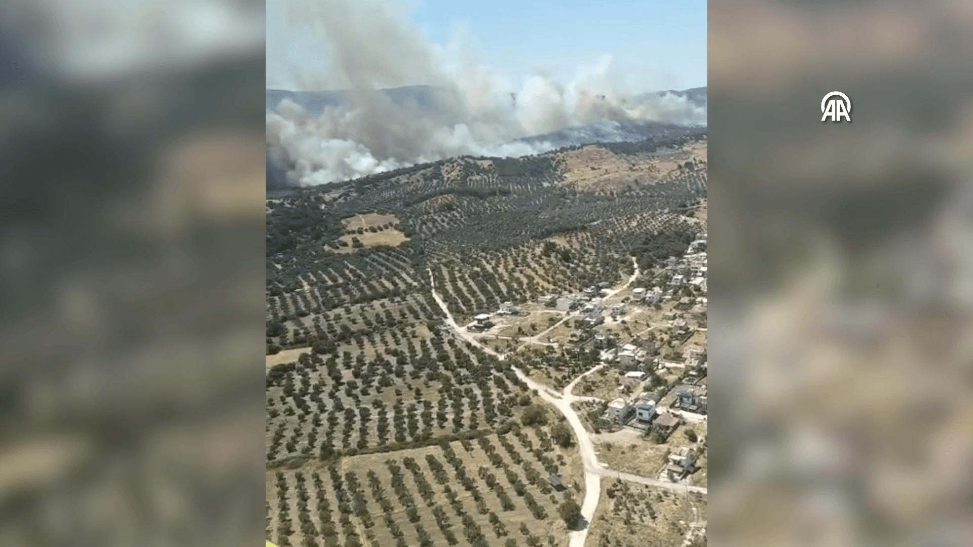 İzmir Dikili Yangını: Müdahale Çalışmaları Devam Ediyor