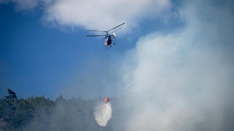 Major Forest Fire Breaks Out in Bursa's Osmangazi District
