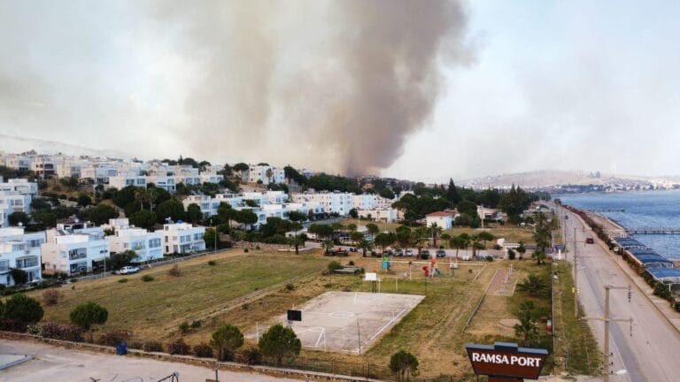 Fire in Dikili Brought Under Control