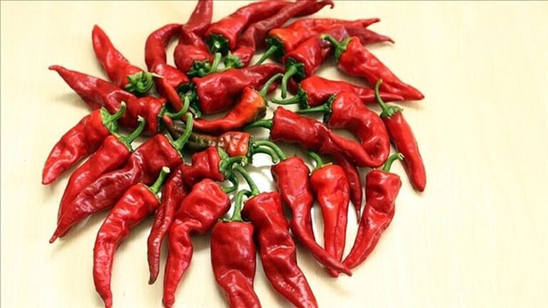 Research Links Hot Pepper Consumption to Higher Risk of Deadly Cancer