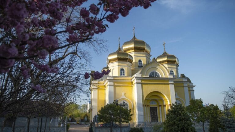 Gagauzia Administration: Authorities Disregard the Constitution
