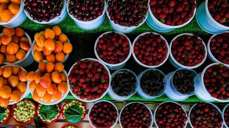 Turkey Advances Towards Global Leadership in Food Security