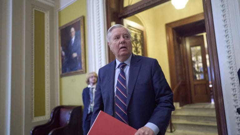 South Carolina Governor Appoints Graham's Sister to Senate
