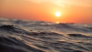 The World's Waters Are Losing Oxygen at an Alarming Rate