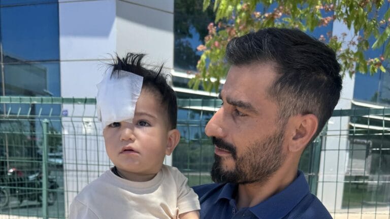 Sahipsiz Köpek Saldırısı: 1.5 Yaşındaki Çocuk Yaralandı