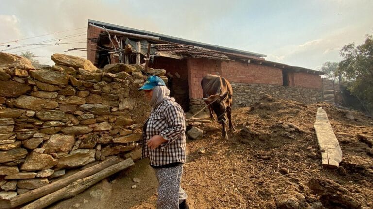 Aydın’da Tarım Alanında Büyük Yangın: 20 Ev Boşaltıldı