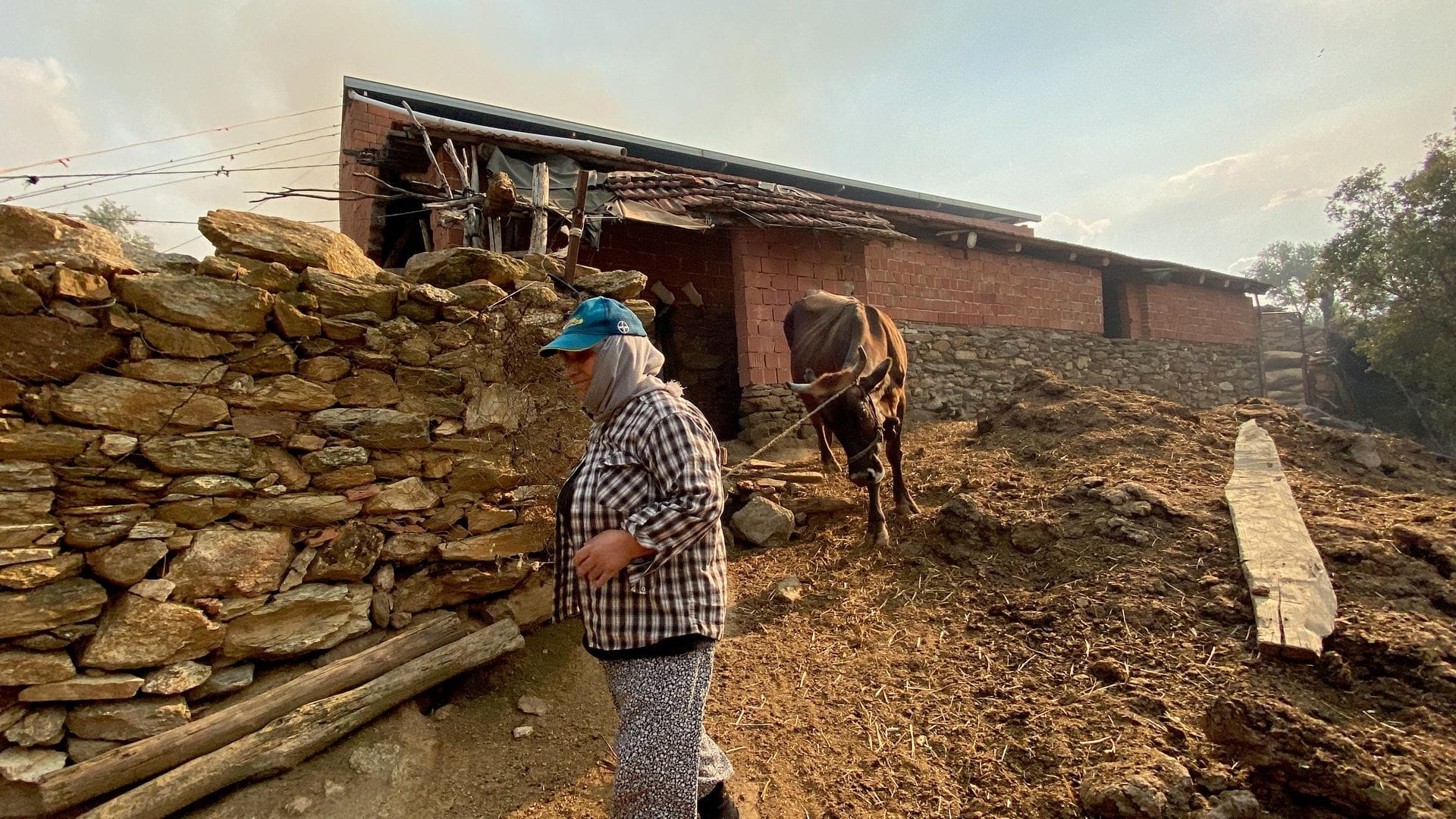 Aydın’da Tarım Alanında Büyük Yangın: 20 Ev Boşaltıldı