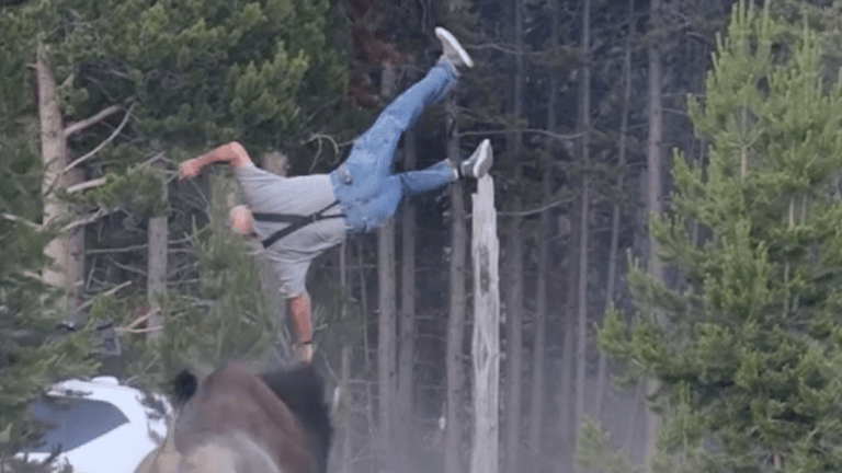Terrifying Moment in Yellowstone: Angry Bison Throws Tourist into the Air