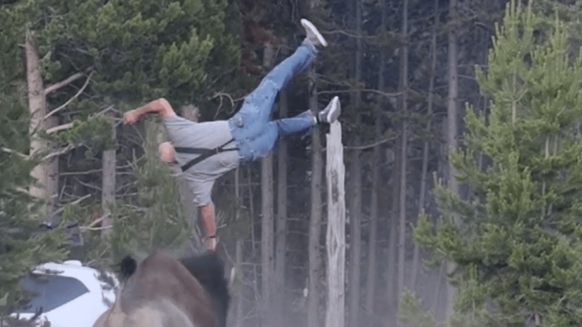 Terrifying Moment in Yellowstone: Angry Bison Throws Tourist into the Air