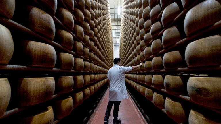 Italy's Famous Cheese Parmesan Under Threat: Heatwaves Affect Production