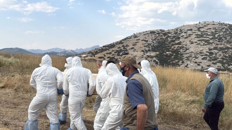 A Woman in Burdur Lost Her Life Due to a Tick Bite