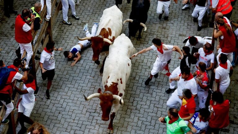 Eight Days of Bull Runs in Spain Come to an End