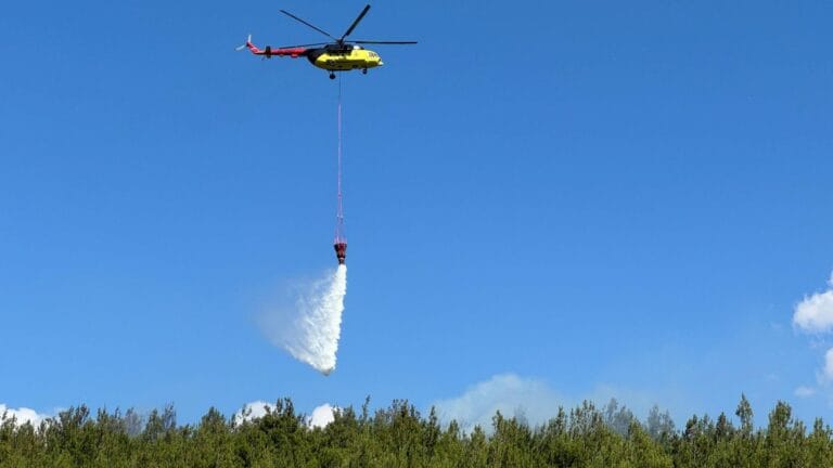 Forest Fires Continue to Rage