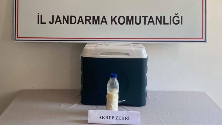 Smuggling Operation in Yalova: 500 Grams of Scorpion Venom Seized