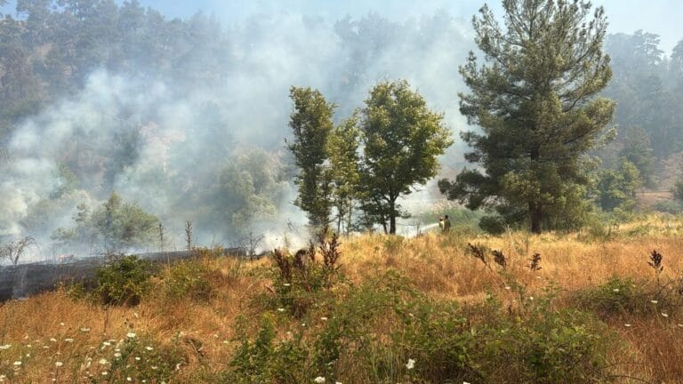 Fire in Agricultural Area Spread to Forest in Bursa