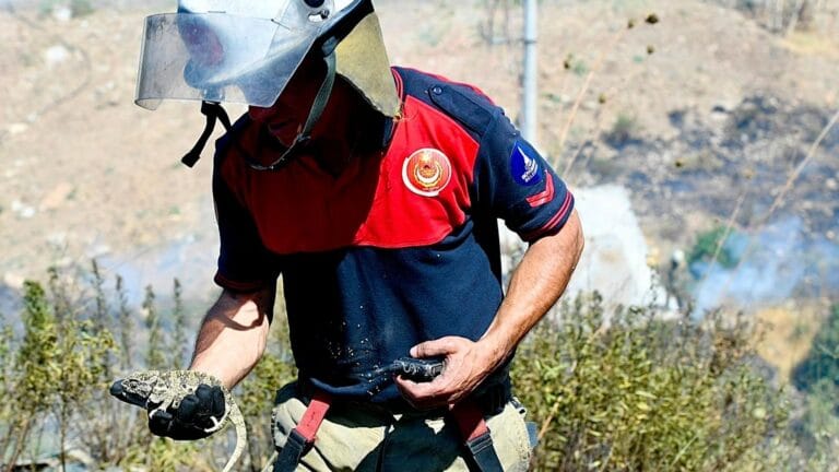 Lizard Rescued from Forest Fire in Izmir