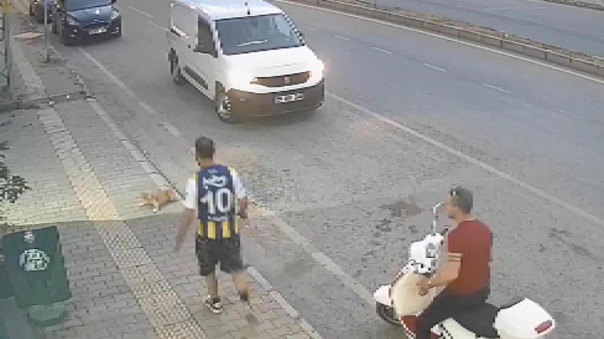 Kediye Tekme Attığı İçin Tutuklandı: Güvenlik Kamerası Görüntüleri Sonrası Harekete Geçildi