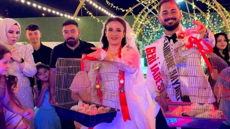 Kahramanmaraş’ta Düğün Gecesinde Altın Yerine Cümbüş: 100 Ceviz Gibi Civciv