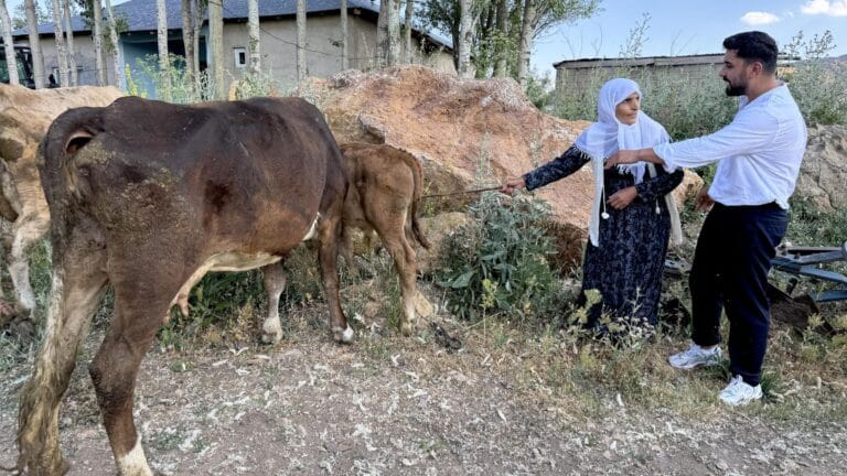 Hakkari’de Telef Olan İneğin Sahibine Hayırseverlerden Yardımlar Yağdı
