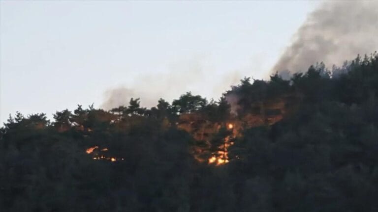 Forest Fire Breaks Out in Kozan: Firefighting Efforts Underway