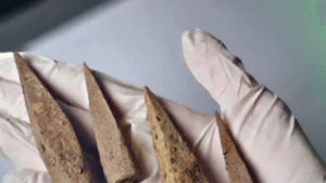 Historical Discovery: 11th-Century 'Balista Arrowheads' Uncovered at Malazgirt Battlefield