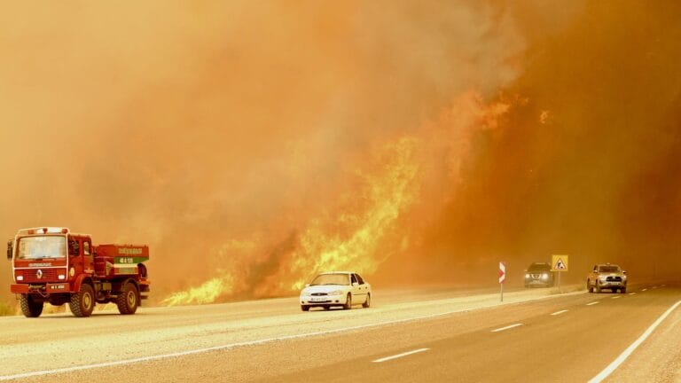 High Risk of Forest Fire: Warning Messages Sent to 9 Provinces
