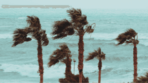 Wind Intensifies: 5 Cities Under Yellow Code Storm Warning