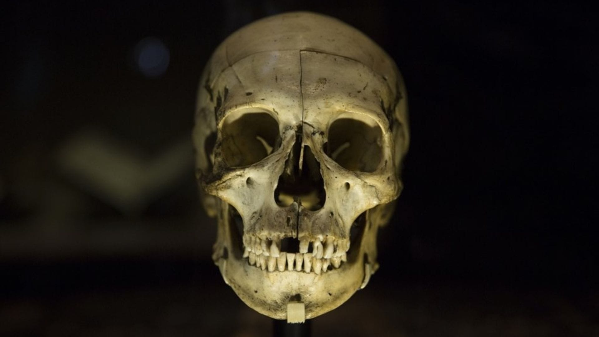 The Narrative of Human Origins Is Changing: Traces of 'Ghost' Ancestors Found in DNA The Narrative of Human Origins Is Changing: Traces of 'Ghost' Ancestors Found in DNA