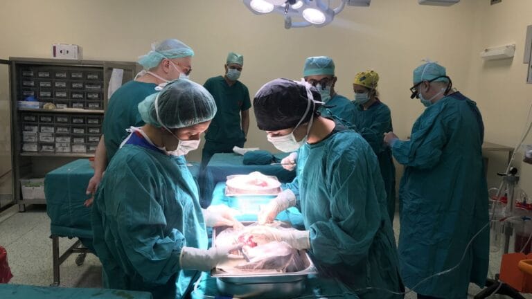Uzun Jahre Bekleyiş Sonucu: 9. Nakil Girişiminde Sağlığına Kavuştu