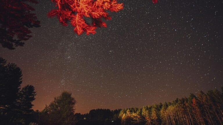Perseid Meteor Yağmuru Zirveye Ulaşıyor: Türkiye’den Gözlemlemek Mümkün Mü?