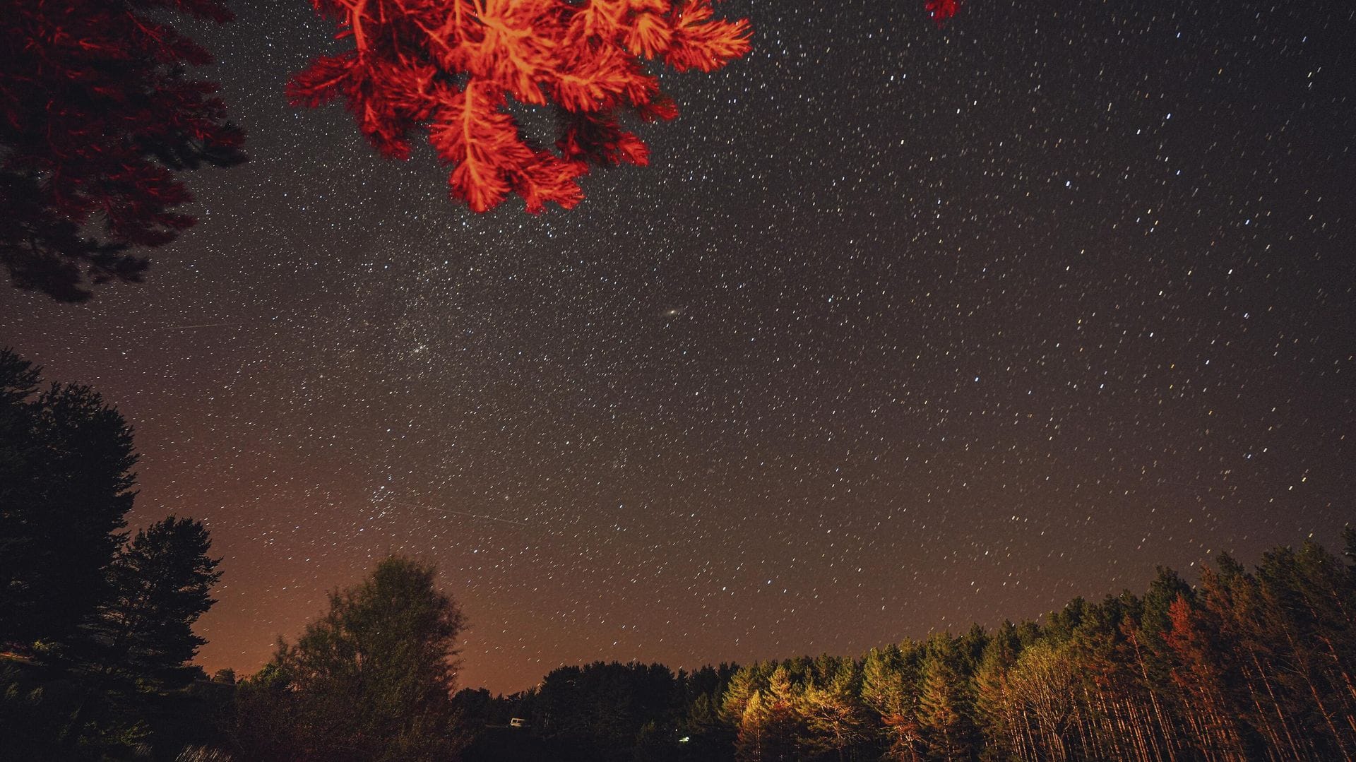 Perseid Meteor Yağmuru Zirveye Ulaşıyor: Türkiye’den Gözlemlemek Mümkün Mü?