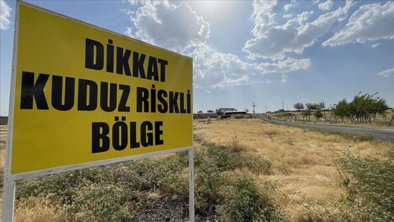 Diyarbakır’da Kuduz Alarmı: 3 Yaşındaki Çocuk Hastaneye Kaldırıldı