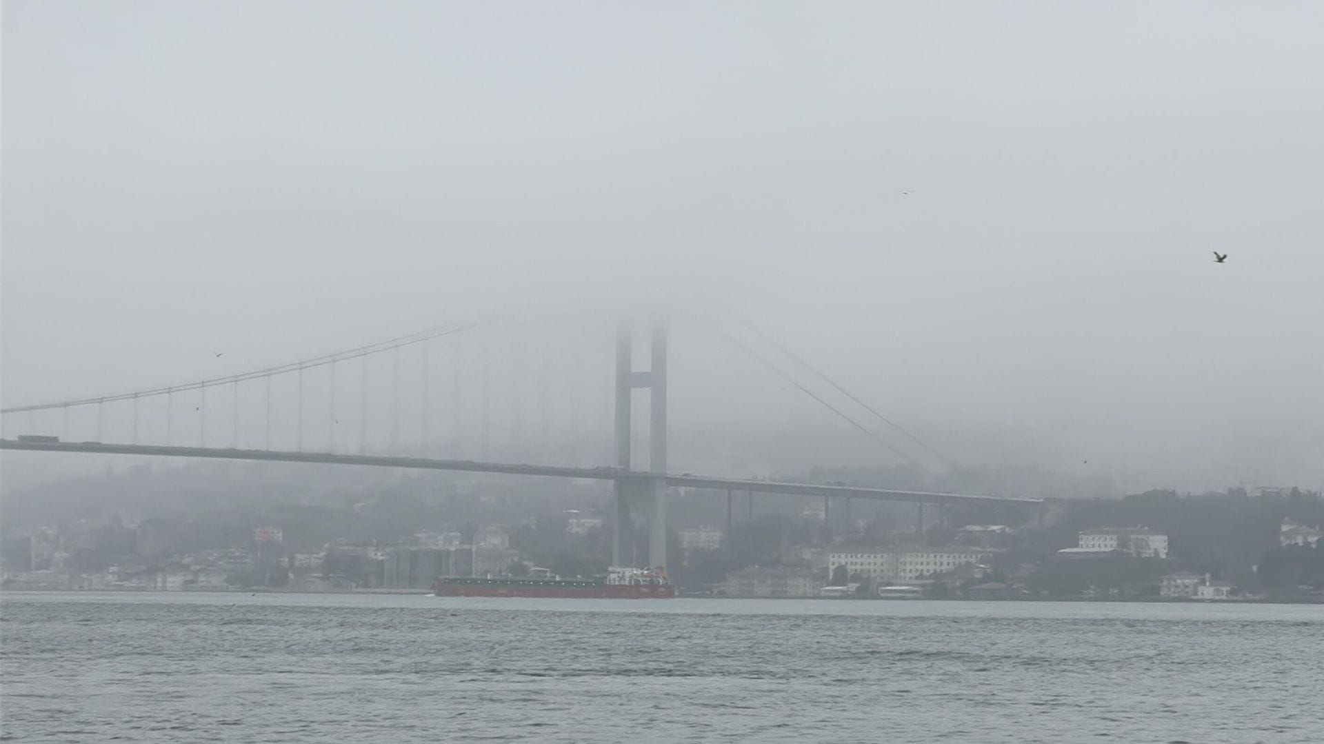İstanbul’da Hava Kalitesi Araştırması: En Temiz ve En Kirli Bölgeler Açığa Çıktı İstanbul’da Hava Kalitesi Araştırması: En Temiz ve En Kirli Bölgeler Açığa Çıktı