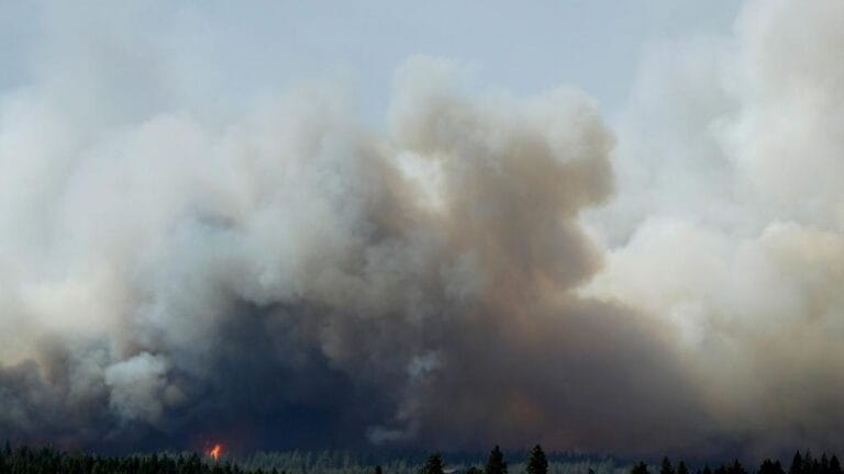 US Wildfires Expand: Over 100,000 Hectares Engulfed in Flames