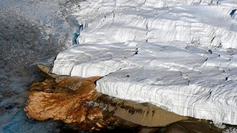 Scientists Discover Descendants of Ancient Sea Creatures Under Antarctica's 'Blood Falls'