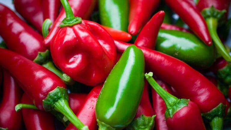 ABD’de Salmonella Alarmı: Jalapeno Biberleri Nedeniyle 27 Eyalette Yüzlerce Kişi Hastalandı