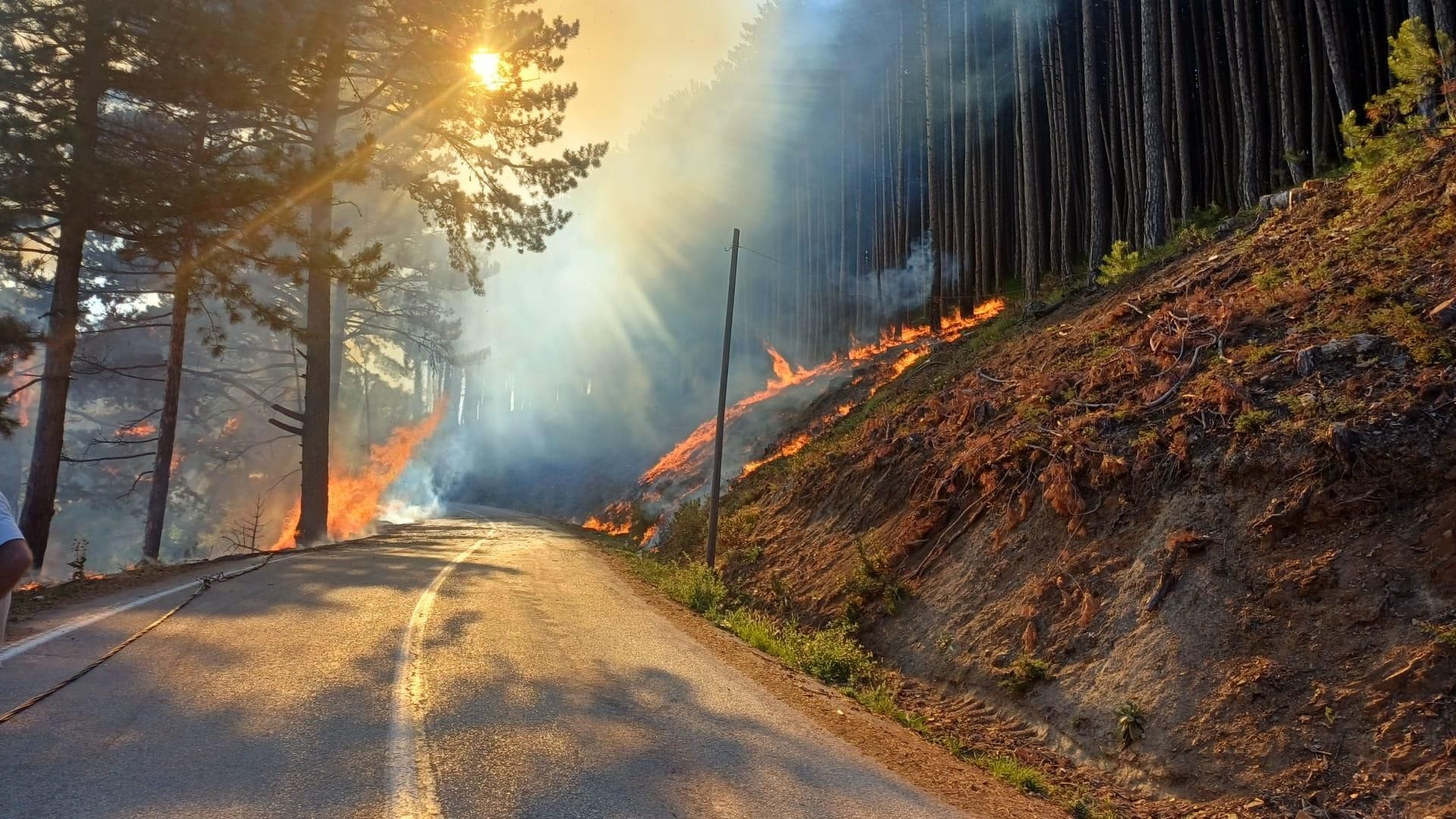 Controlled Forest Fire in Bursa Uludağ