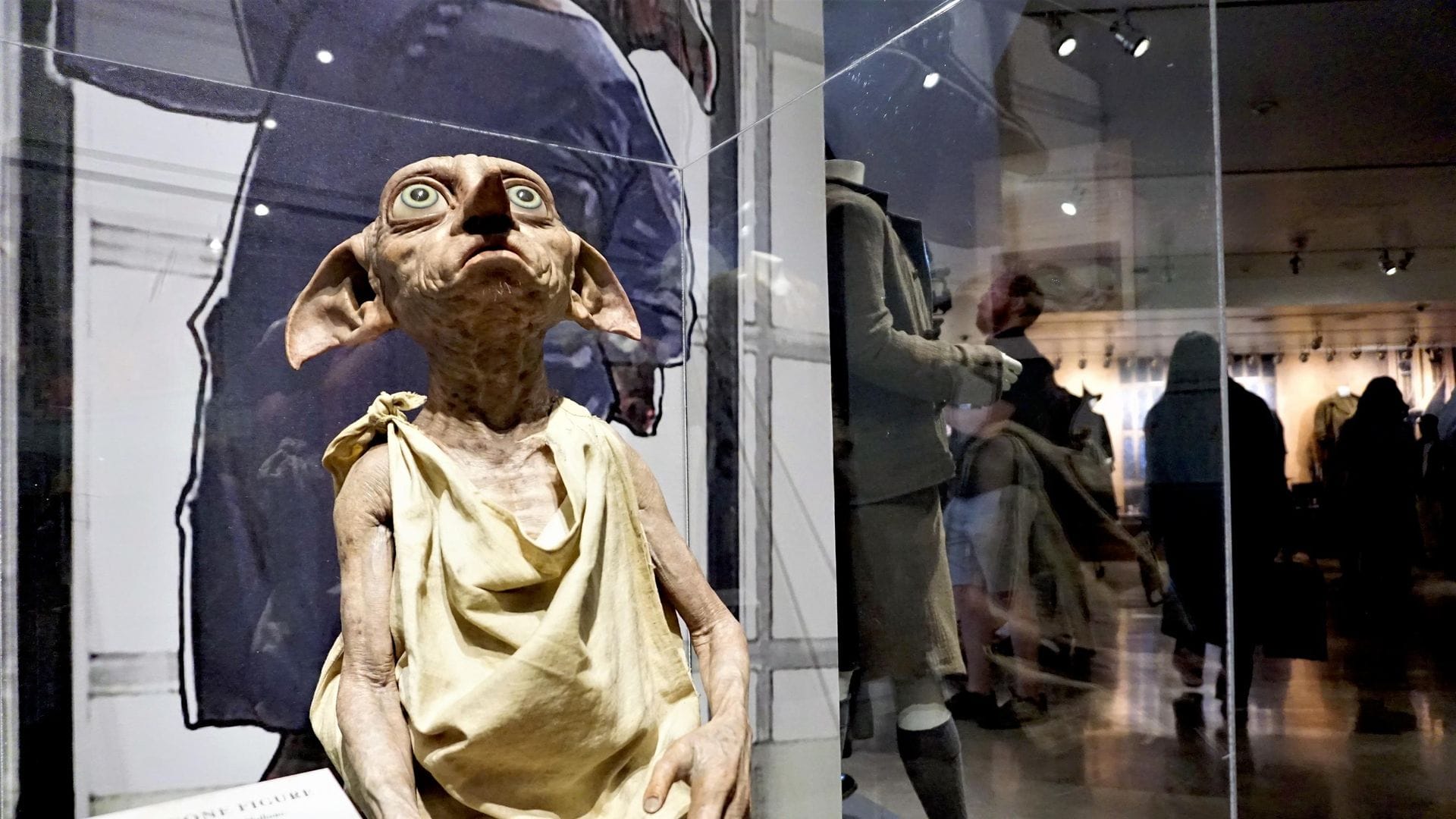 Harry Potter Hayranlarının Tepkisi İle Değişen Enerji Projesi